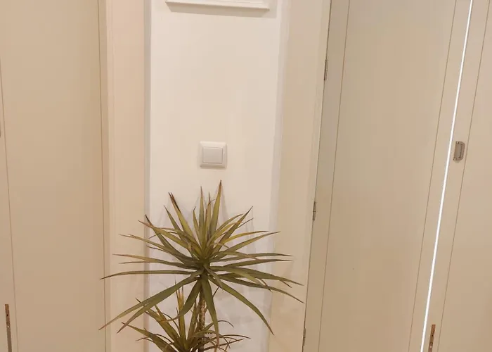 Premium Downtown - Bonjardim Apartment *