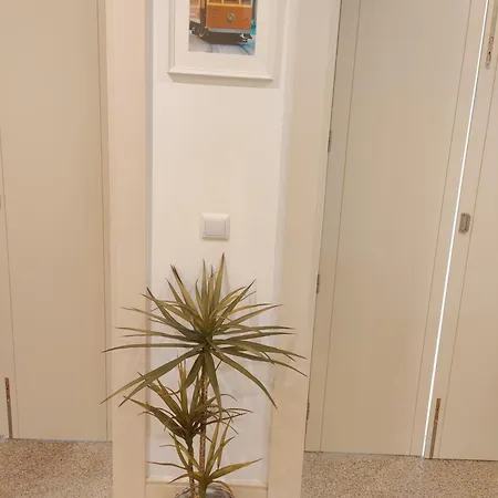 Premium Downtown - Bonjardim Διαμέρισμα *